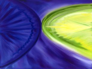 Heilung & Transformation