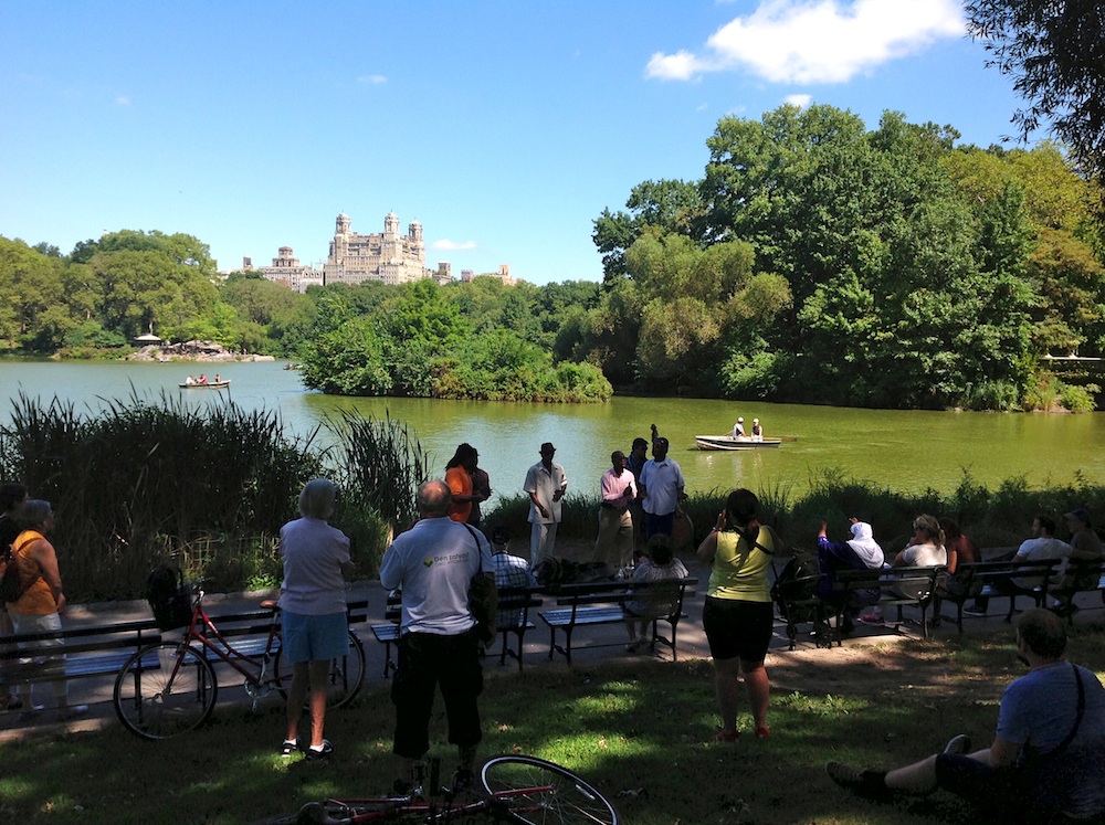 IMG_1925_-_Central_Park_2