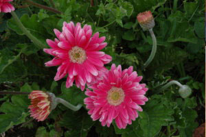 05-meditatives_malen_03